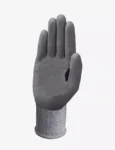 bxpg0350in-01