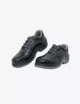Safety Shoes with Double Density FS113BL(SWDAMN)