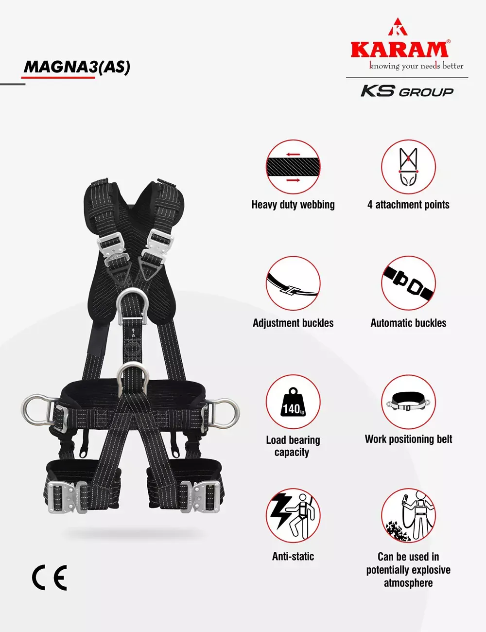magna3_as__1