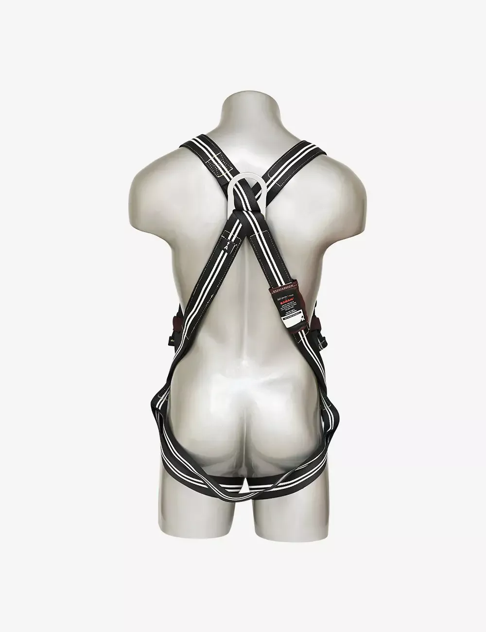 pn-22fr-02