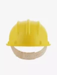 pn501-_yellow_-01