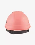 pn545_pink_-01_1